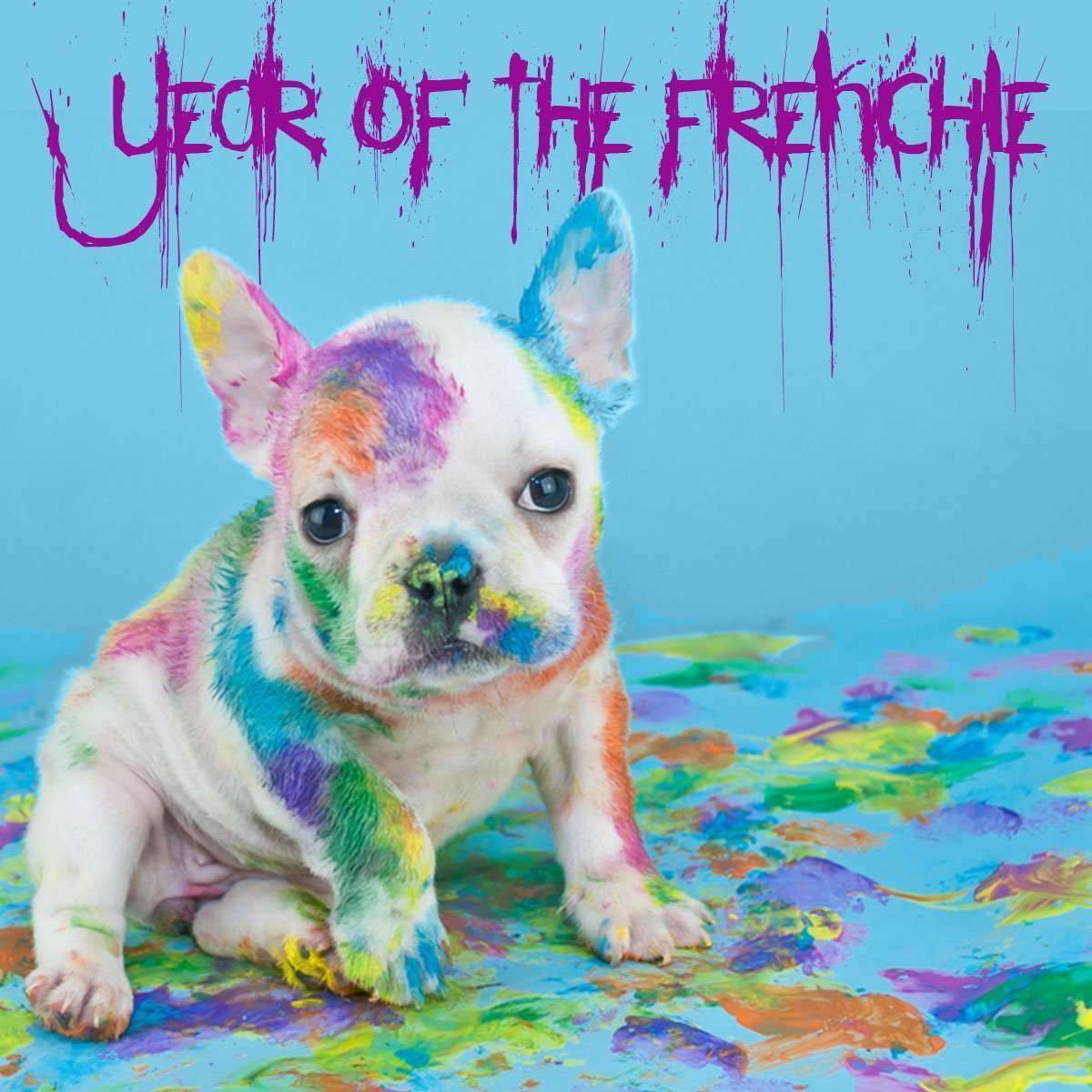 Year Of The Frenchie Last 6 - Barrel Dogs